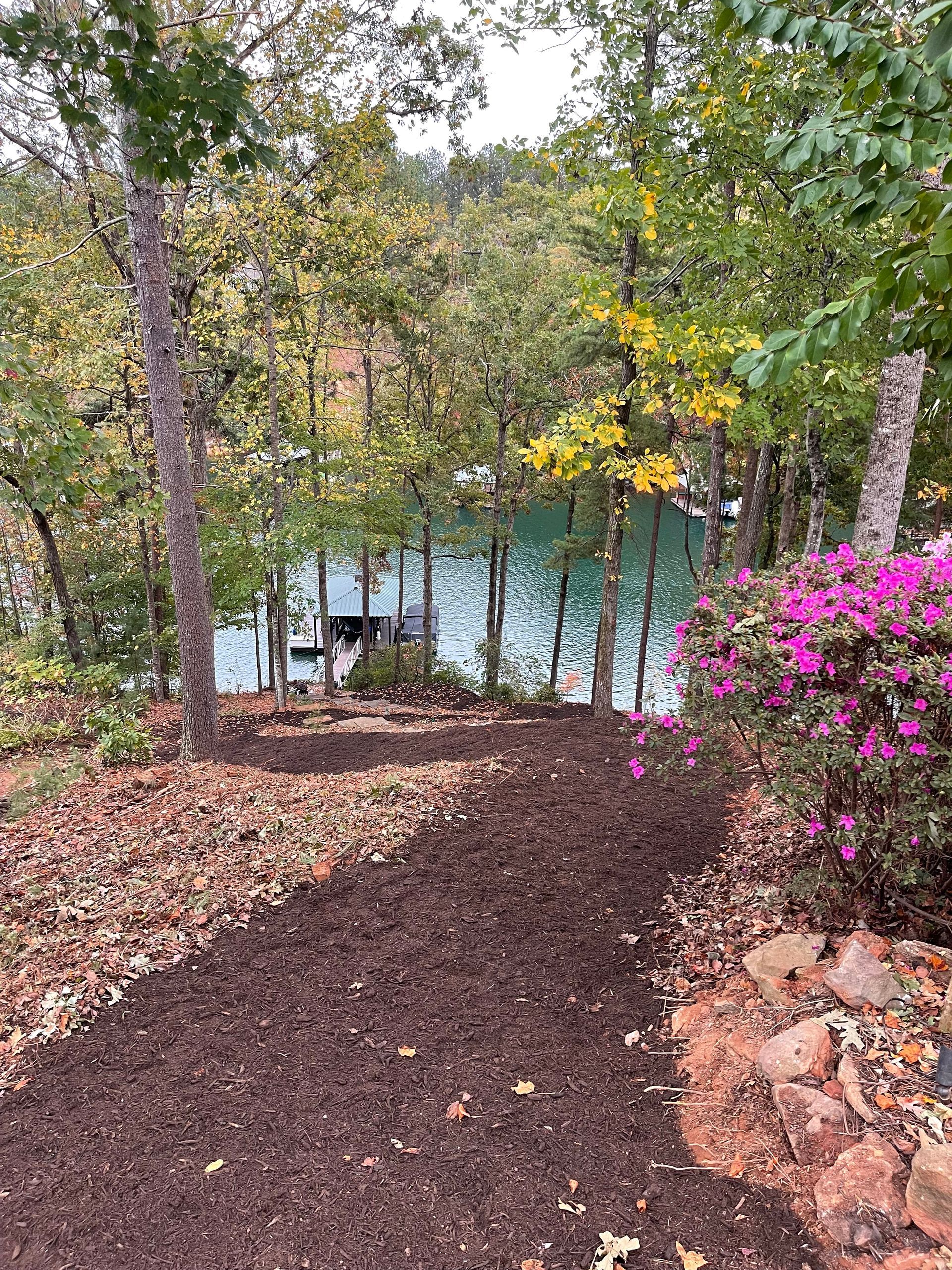 A path leading to a lake surrounded by trees and flowers.