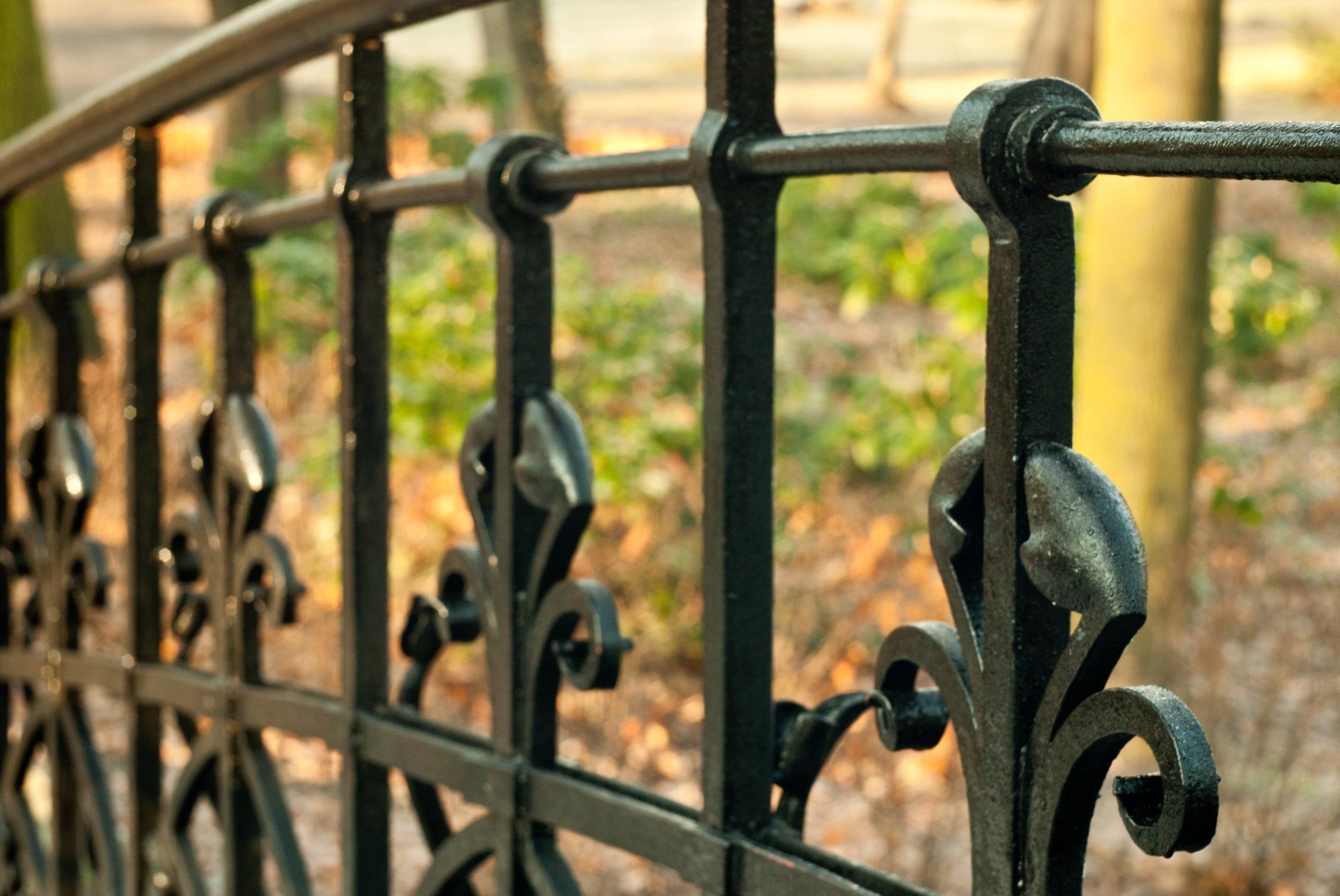 wrought iron fence of the house