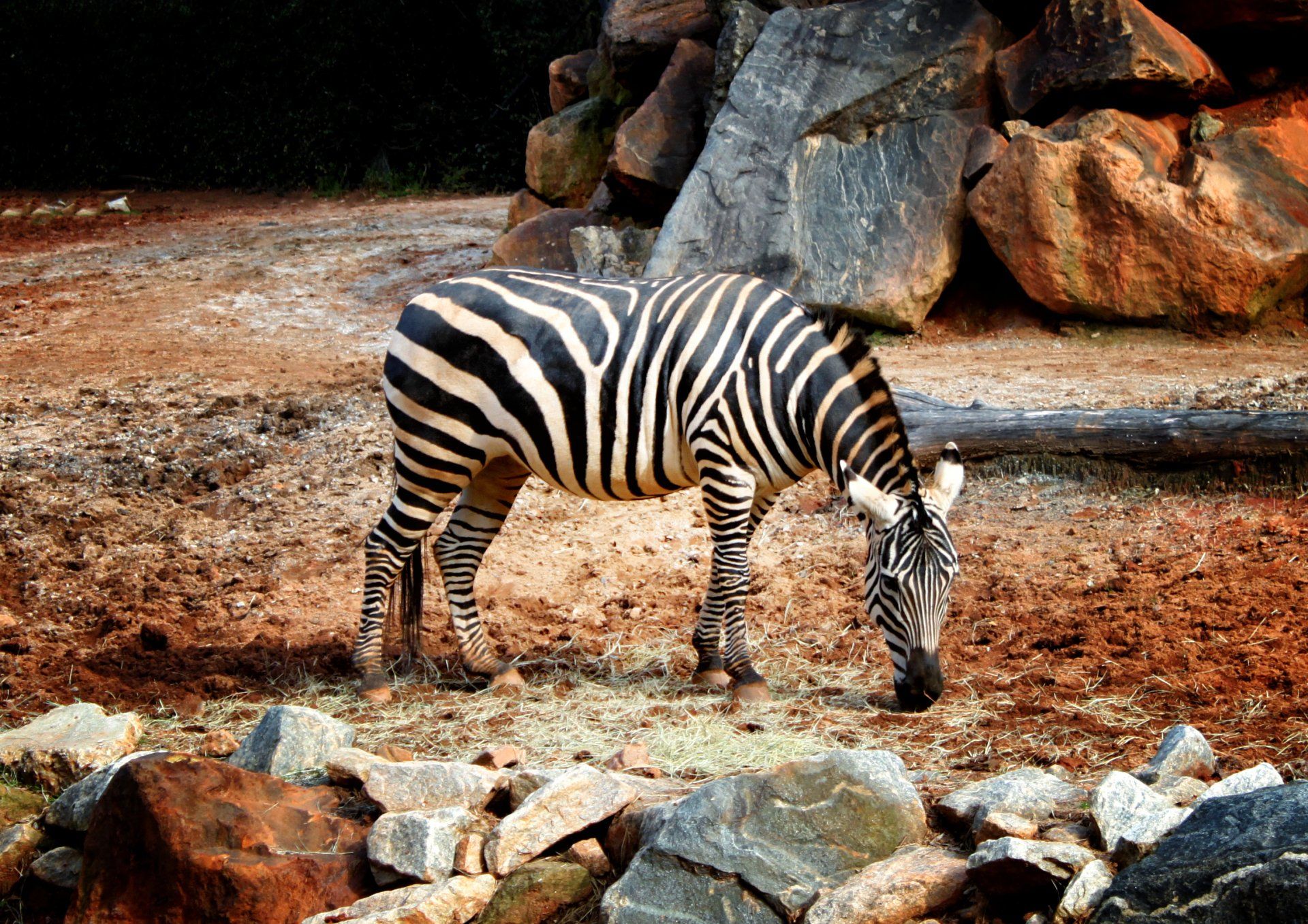 Contact Us Dallas, GA A Plus Realty