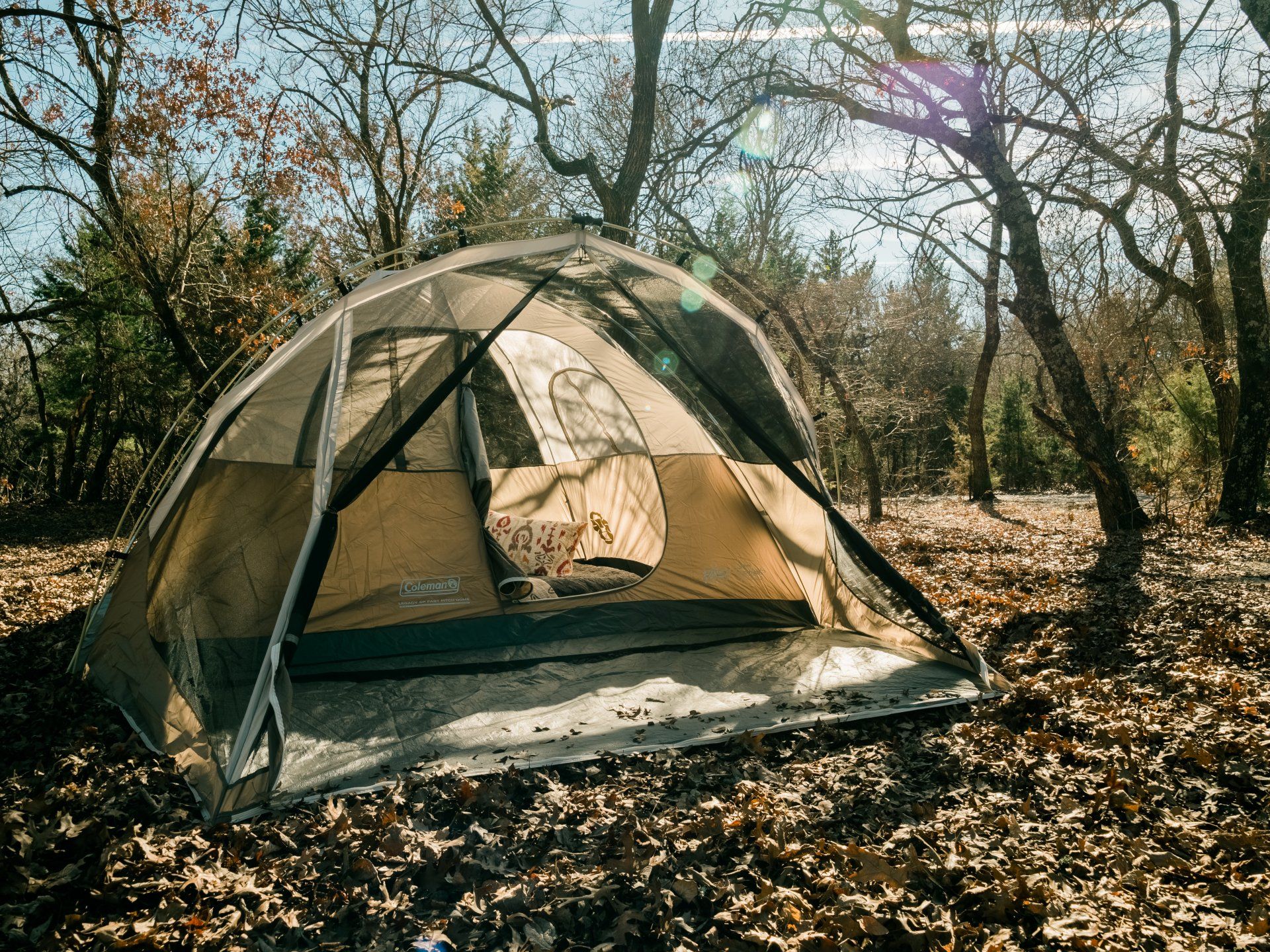 Best Day Ever Ranch | Whitewright,TX.