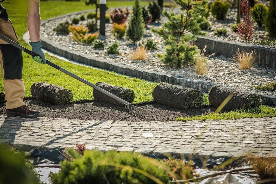 A man is raking grass in a garden with a rake.