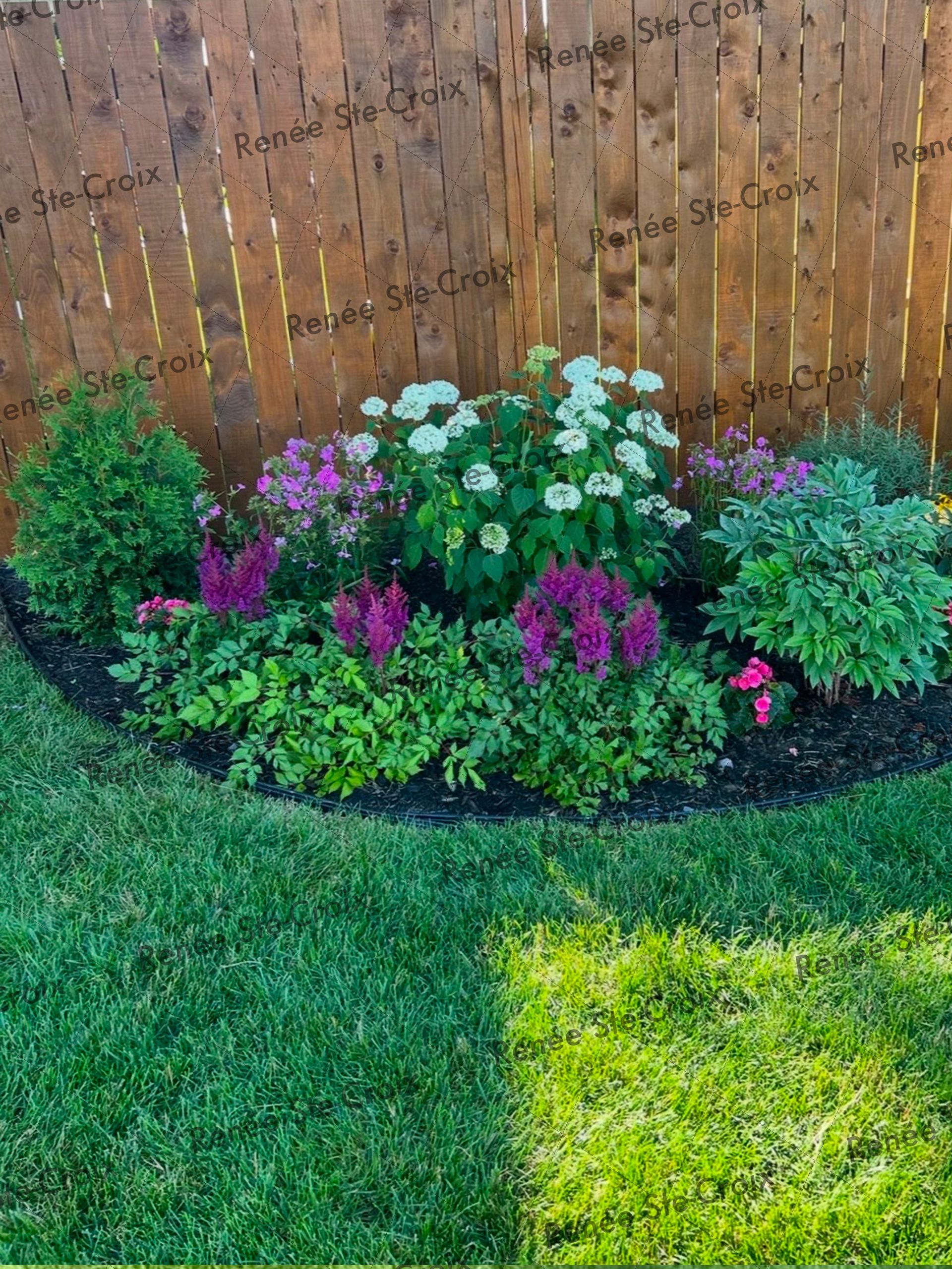 Un jardin avec des fleurs et une clôture en bois en arrière-plan