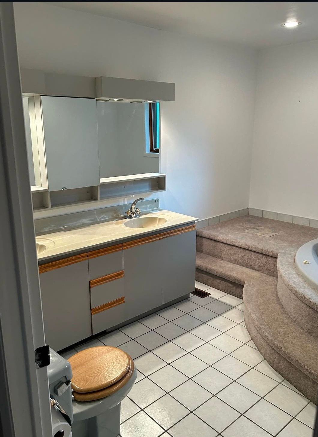 A bathroom with a toilet , sink , and jacuzzi tub.