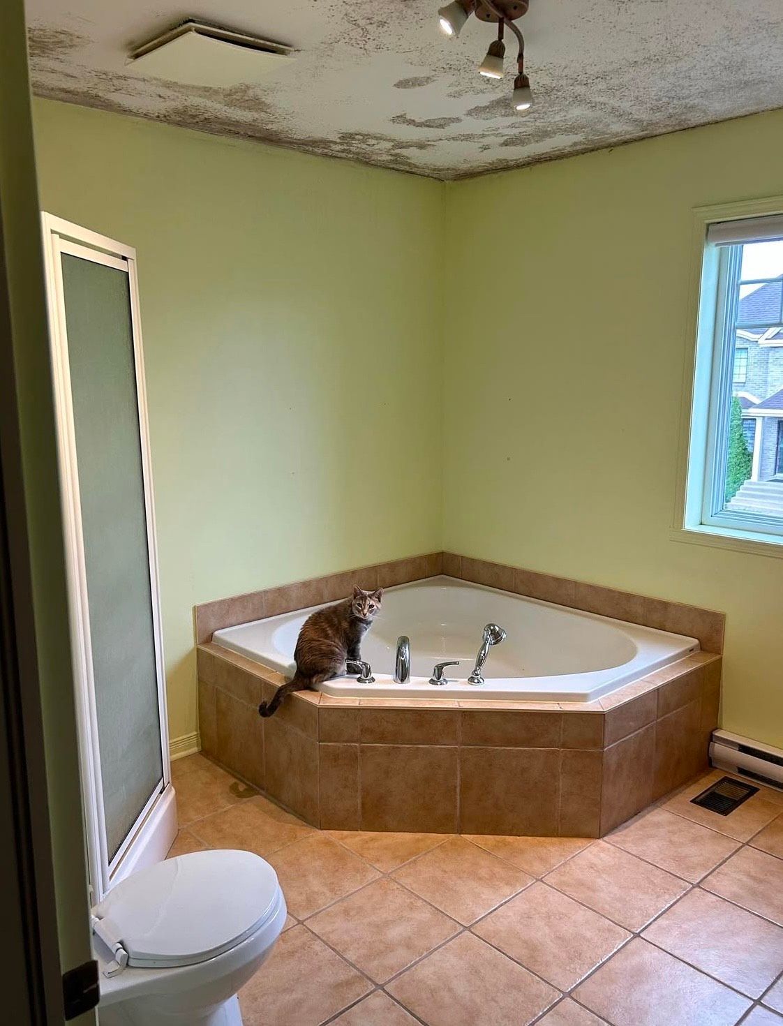 Un chat est assis sur le bord d'un jacuzzi dans une salle de bain à côté d'une toilette.