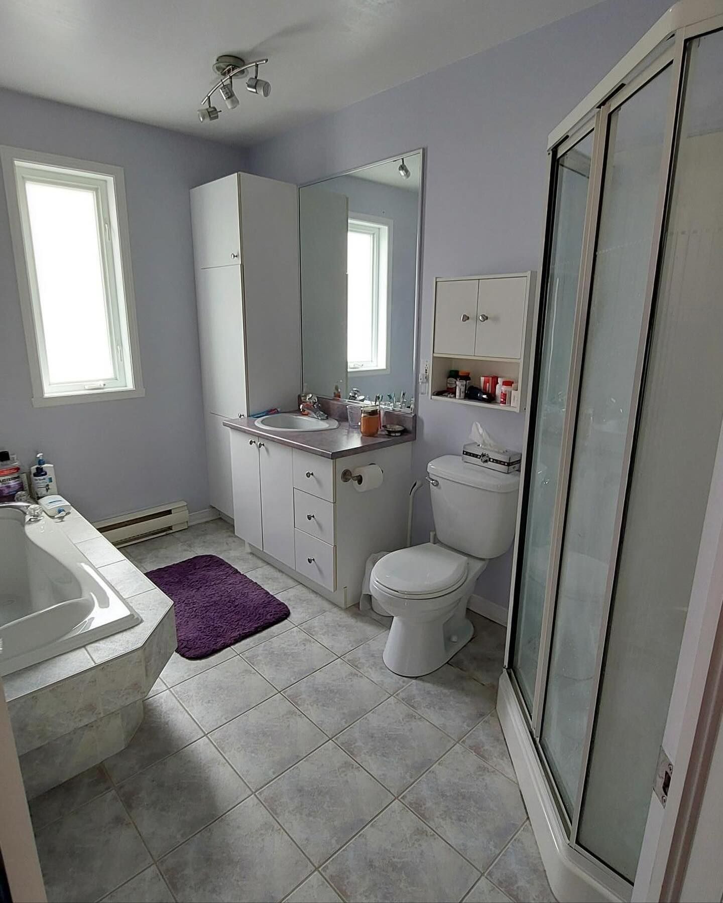 Une salle de bain avec baignoire, WC, lavabo et douche.