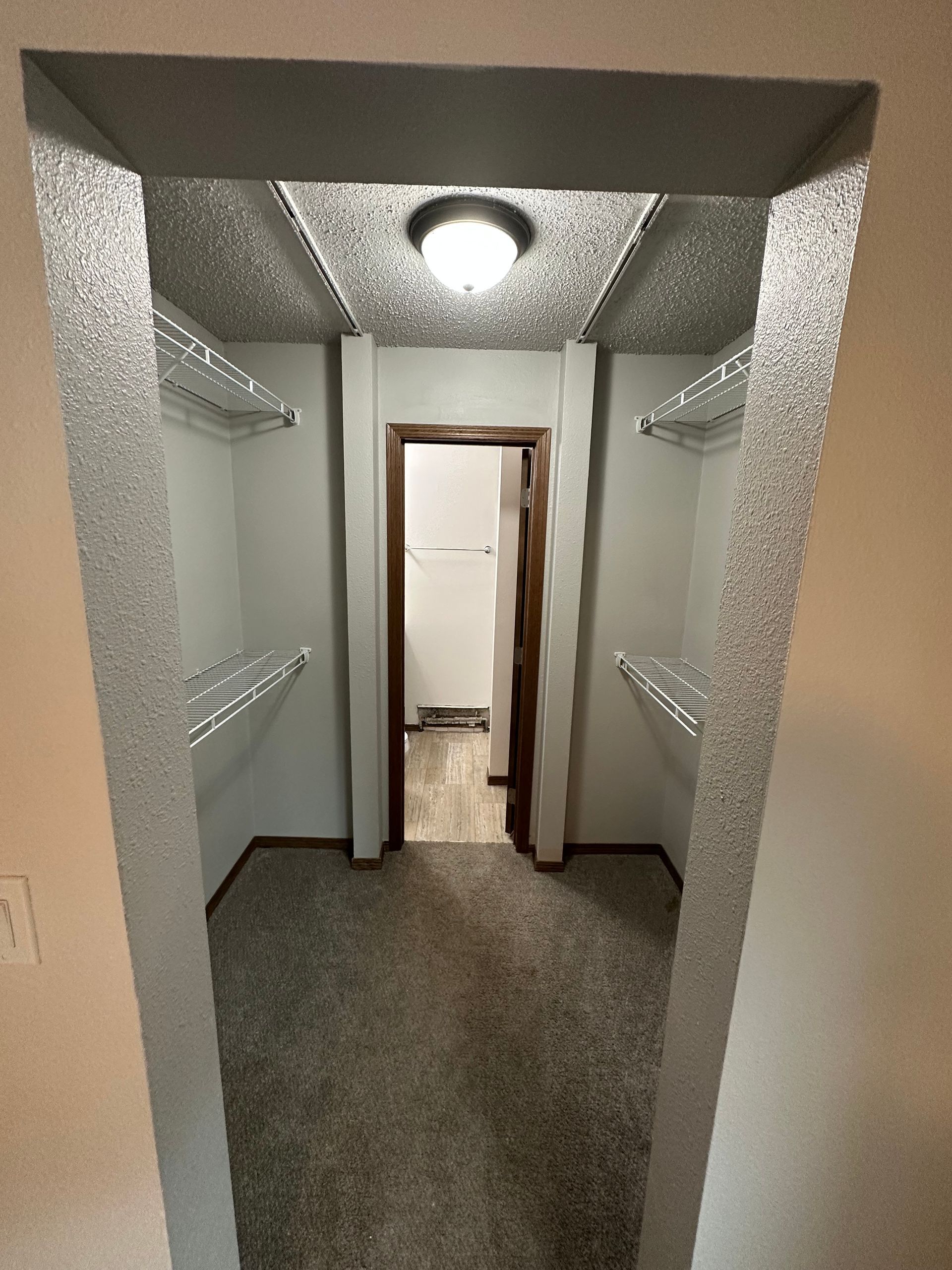 A walk in closet with shelves and a refrigerator in a house.