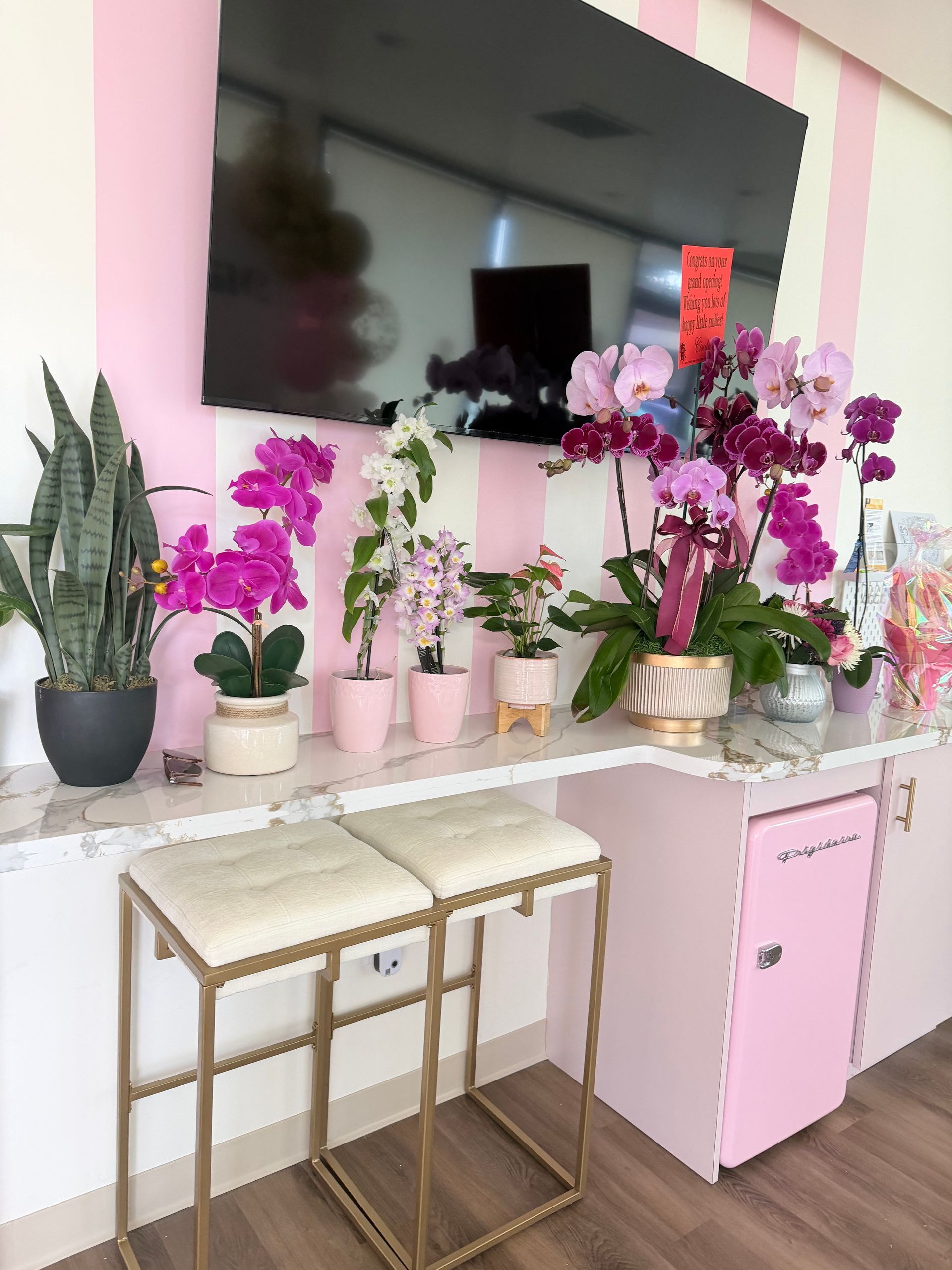 A vanity area with pink-and-white striped wallpaper, a TV, orchids, a snake plant, two stools, and a small pink fridge.