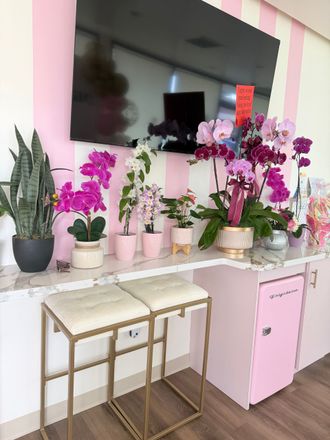 A vanity area with pink-and-white striped wallpaper, a TV, orchids, a snake plant, two stools, and a small pink fridge.