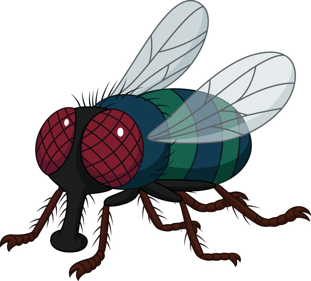 a cartoon fly with red eyes and wings on a white background