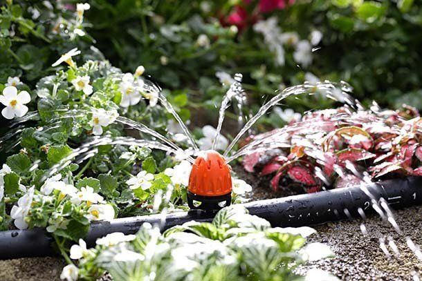 impianto di irrigazione a goccia