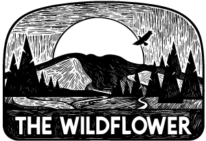 Black-and-white logo of mountains, trees, sun, and a flying bird above the words “THE WILDFLOWER.”