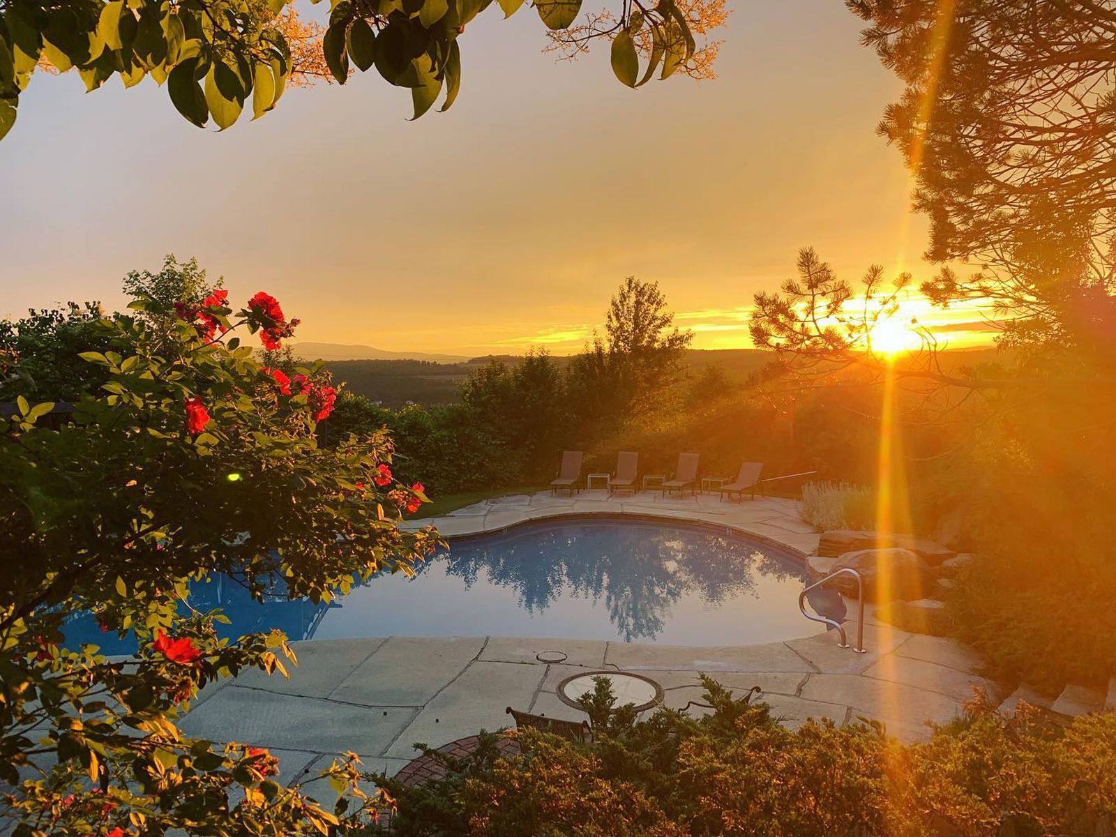 Sunset over a backyard pool with flowering plants and trees, casting warm golden light over the landscape
