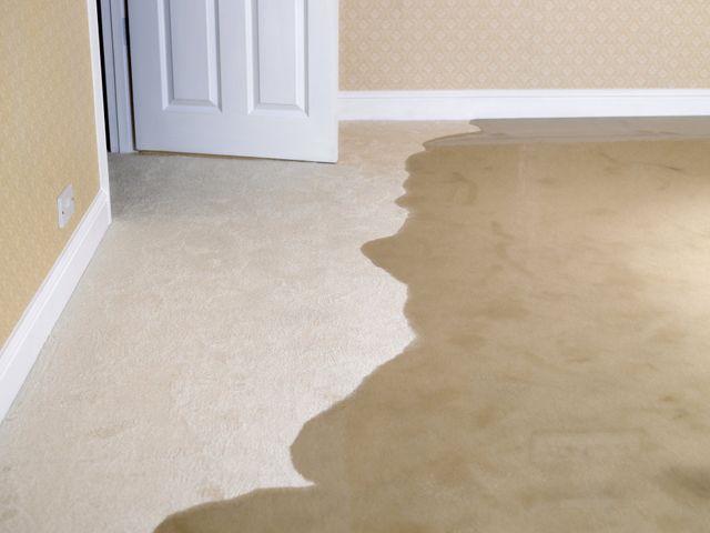 Water Damage Cleanup Cedar City Ut