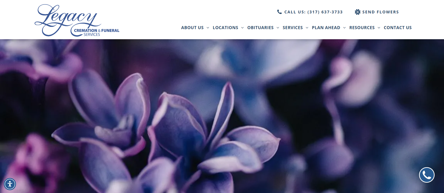 A close up of purple flowers on a website.