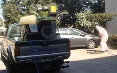 Servizio di disinfestazione su auto