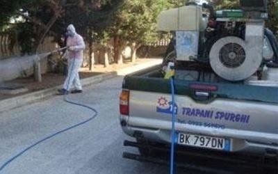 Servizio di disinfestazione