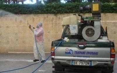 Servizio di disinfestazione con operatore