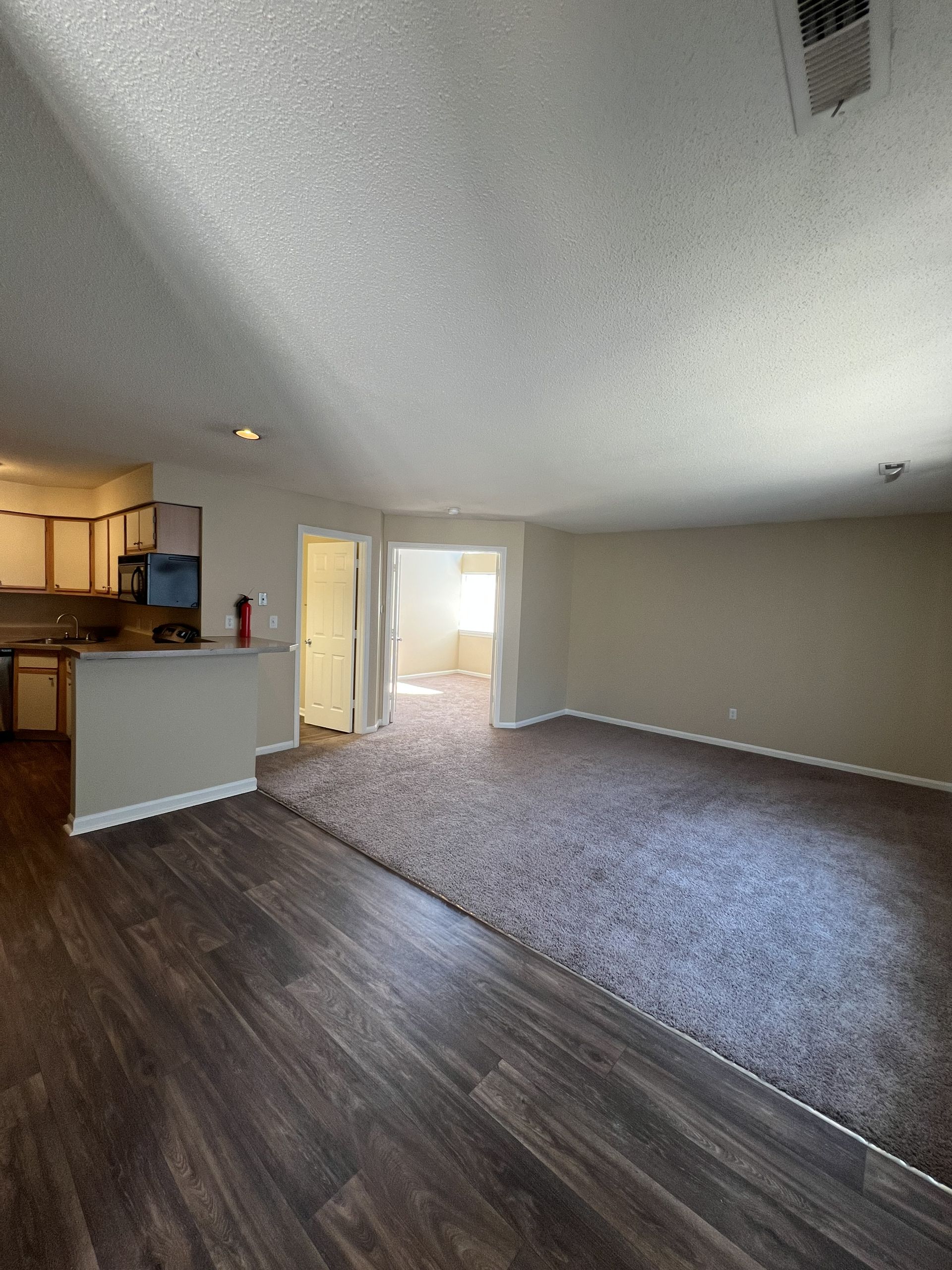 Spacious living room with wood floors, carpet, and access to the kitchen and another room.