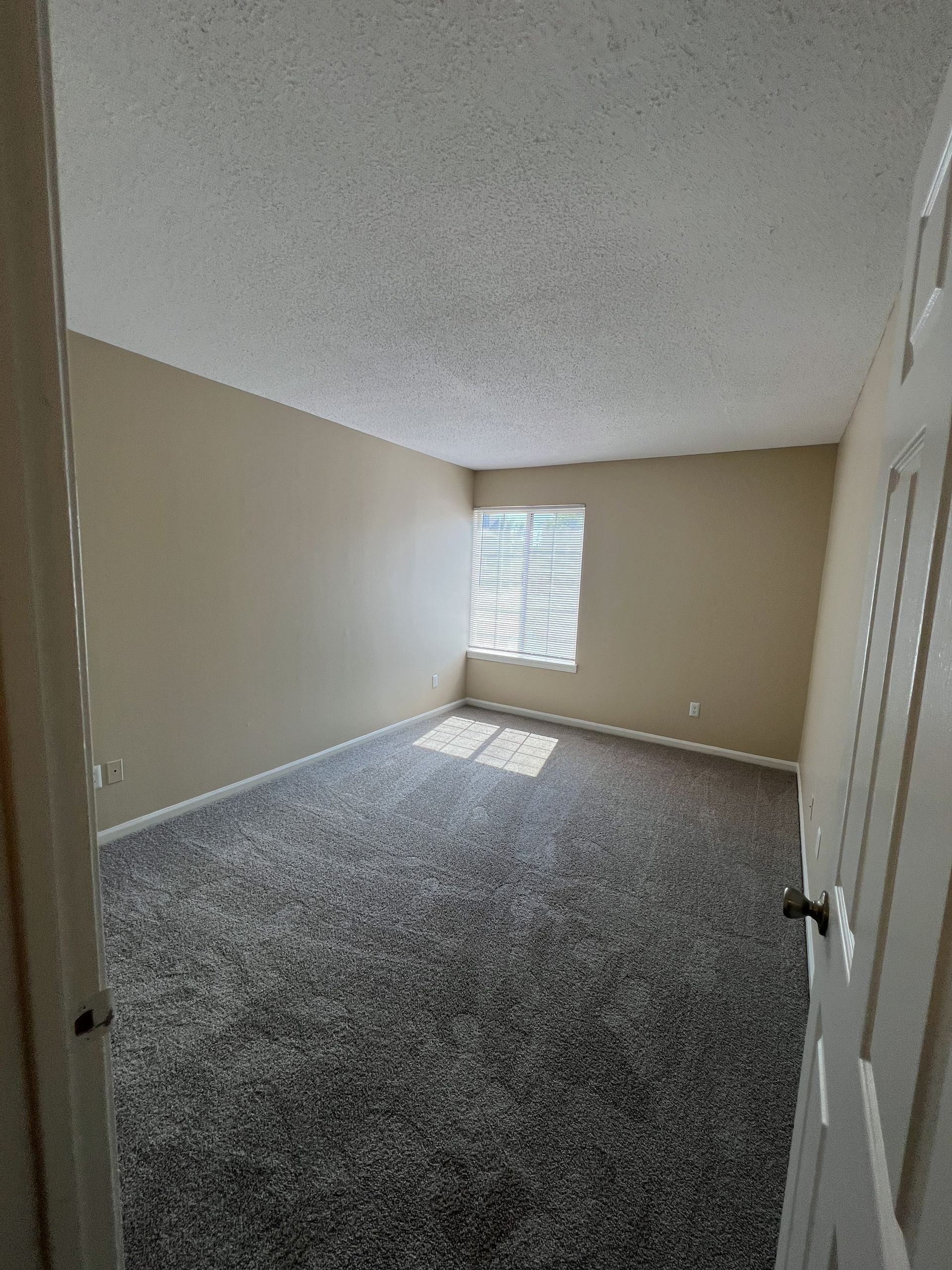 Empty bedroom with gray carpet, beige walls, and a window with blinds.