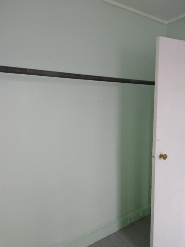 An empty closet with pale green walls, a black metal hanging rod, and a white door with a brass knob.