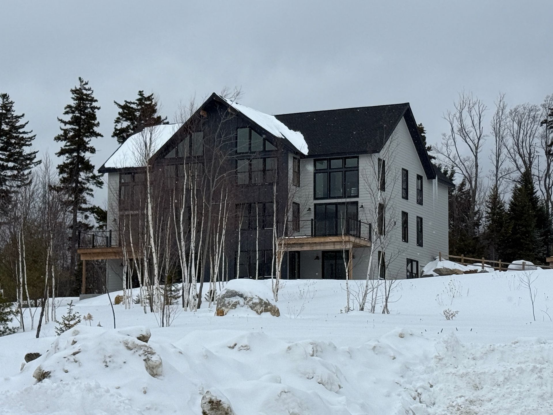 Modern house in winter setting, gray and dark wood siding, snow-covered ground, cloudy sky. Foreclosure: Property.
