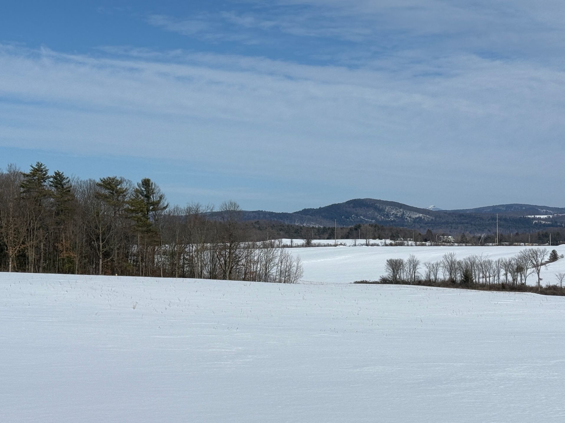 Snow-covered field with trees and a distant mountain under a partly cloudy, blue sky.