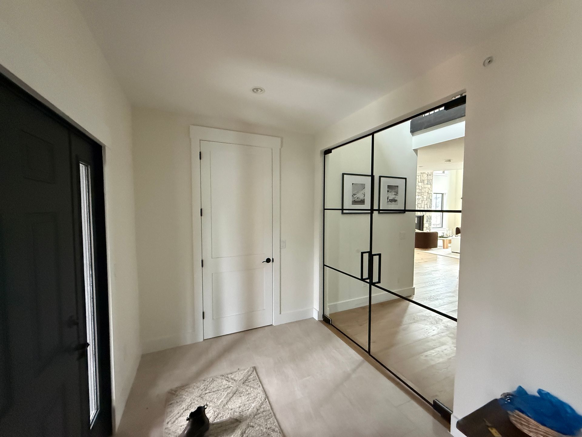 A bright entryway with a black front door, a white interior door, and large, black-framed glass-paneled closet doors.