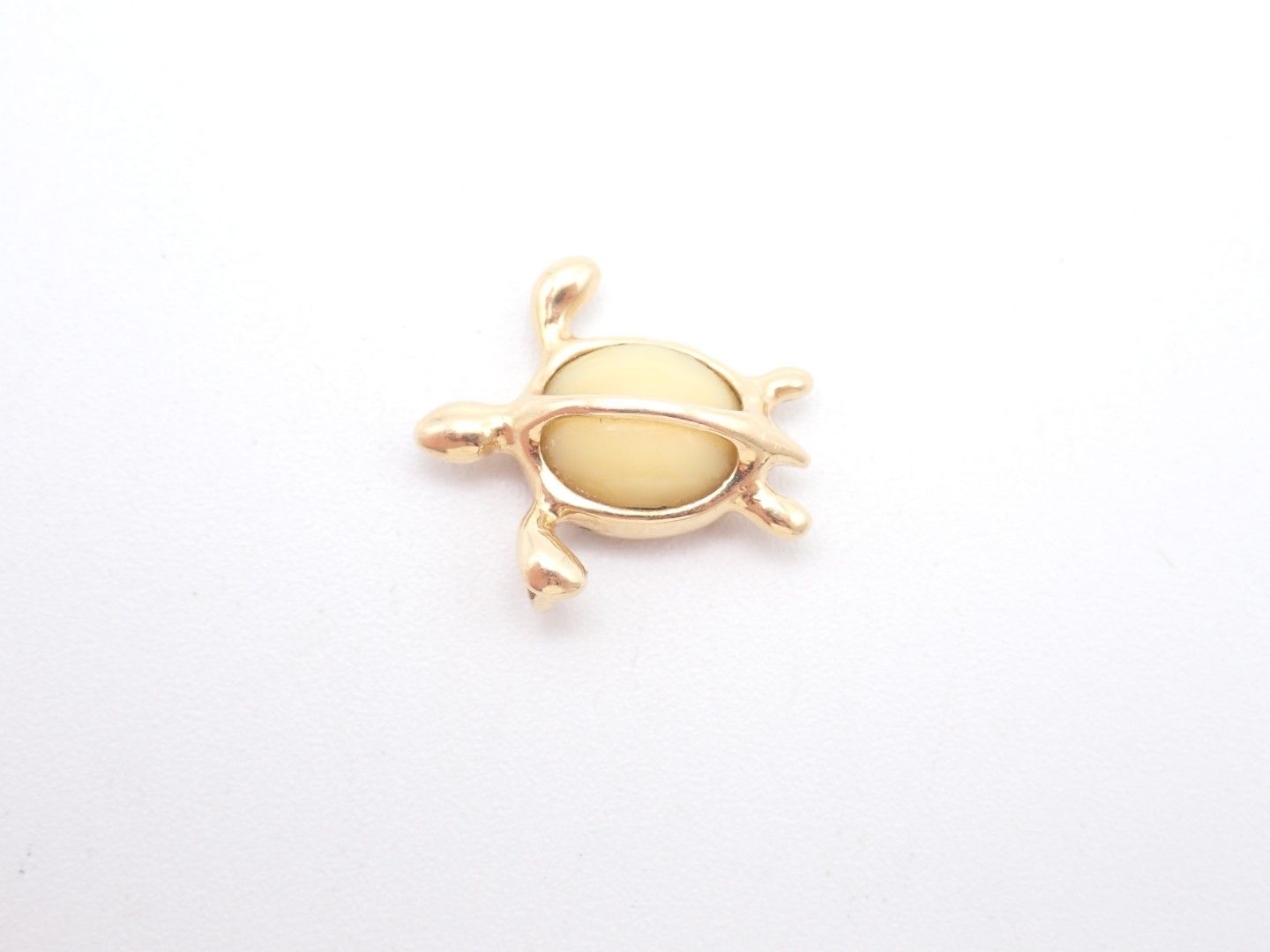 Small gold turtle-shaped brooch on a white background
