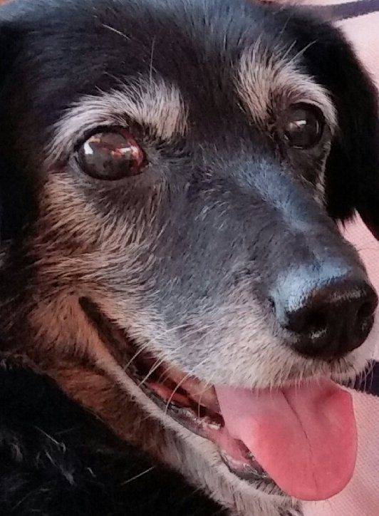 targhe personalizzate