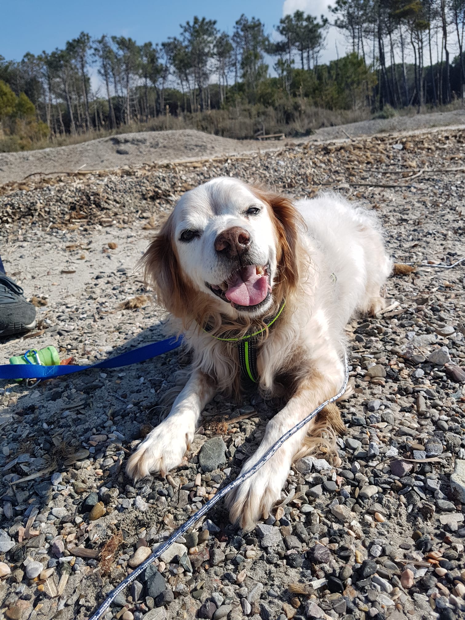 targhe personalizzate