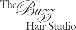 The logo for the buzz hair studio is black and white.