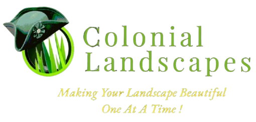 Colonial Landscapes