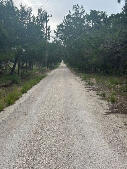 Tree-lined Bohles Road leading to Avandaro Ranch outside Wimberley, Texas