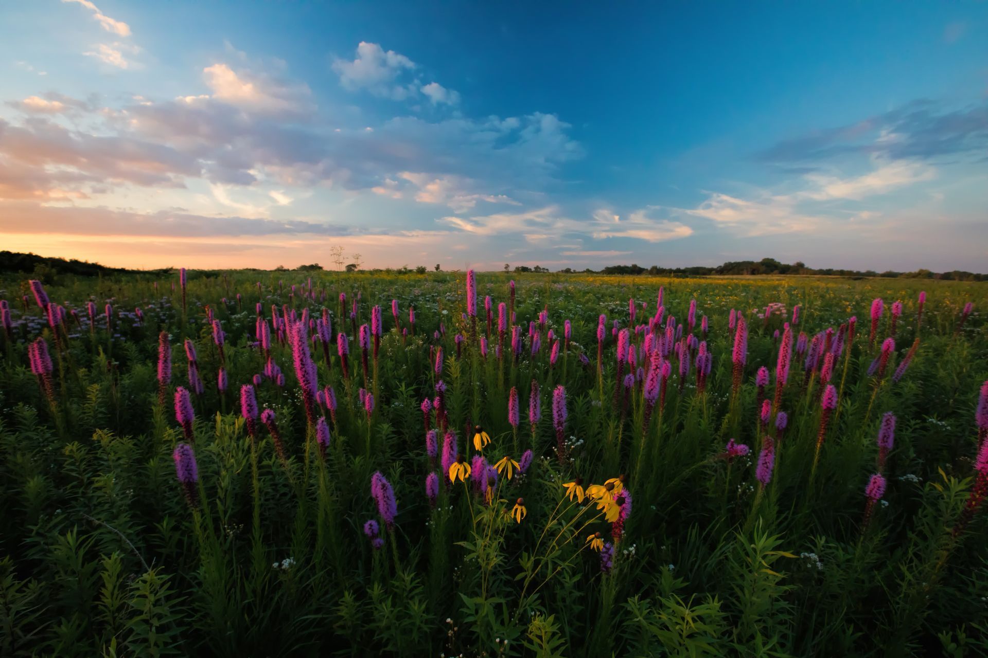 Funeral Home in Northlake, IL | Northlake Funeral Home
