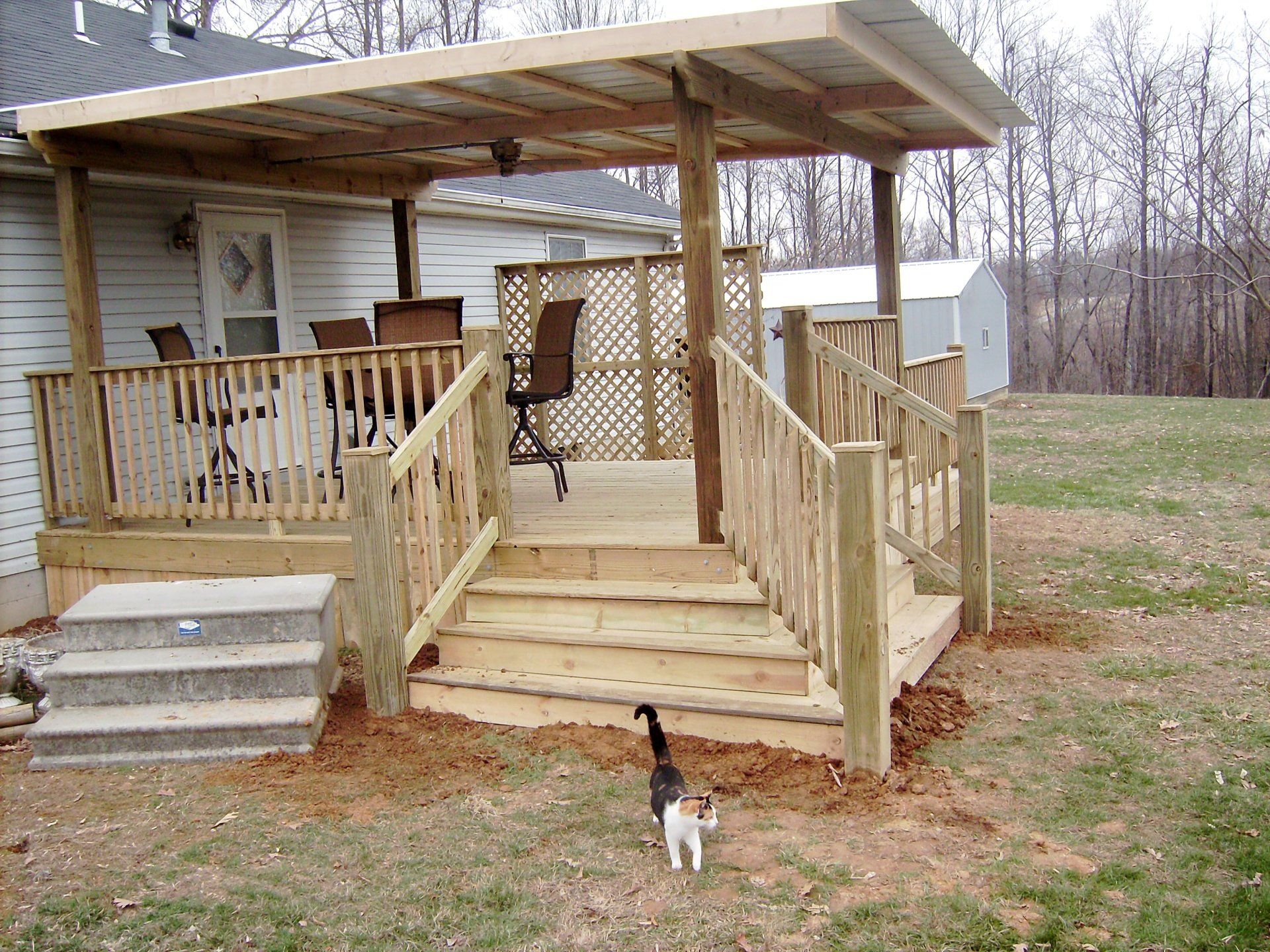 A cat standing on a wooden deck next to a house