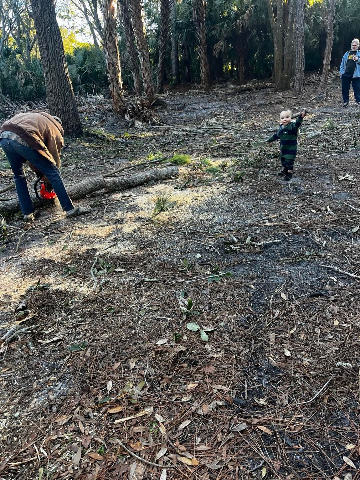 A man and a child are cutting a tree in the woods.