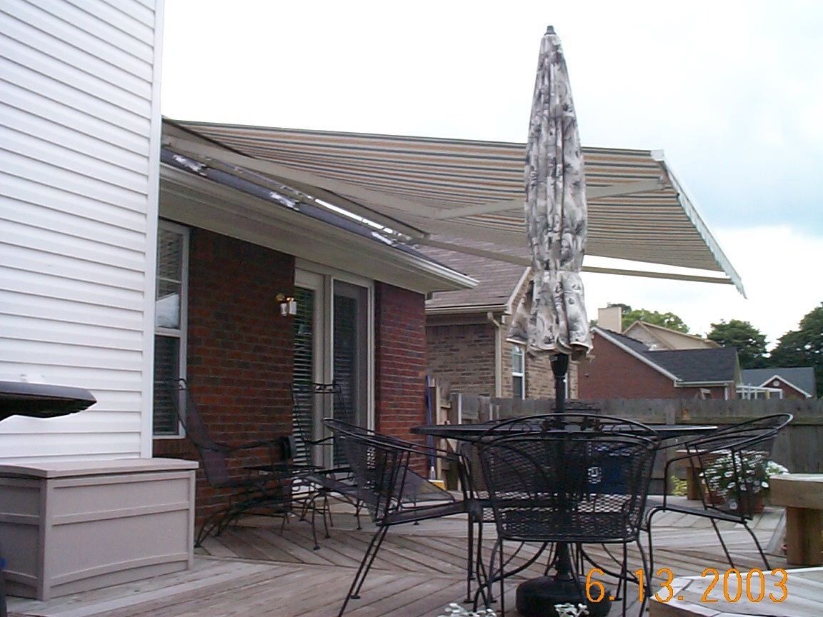 An illustration of a large, dark green, leafy tree with a thick, textured trunk, set against a plain light gray background.