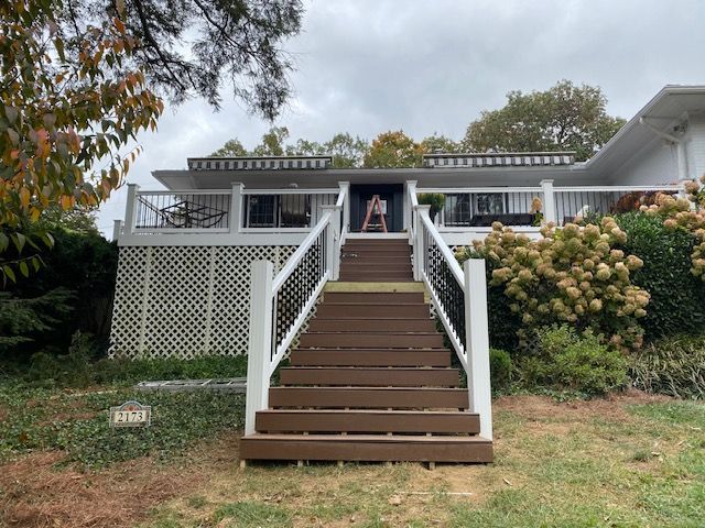 A close-up of a vibrant, multicolored butterfly with spotted wings resting on a green leaf.
