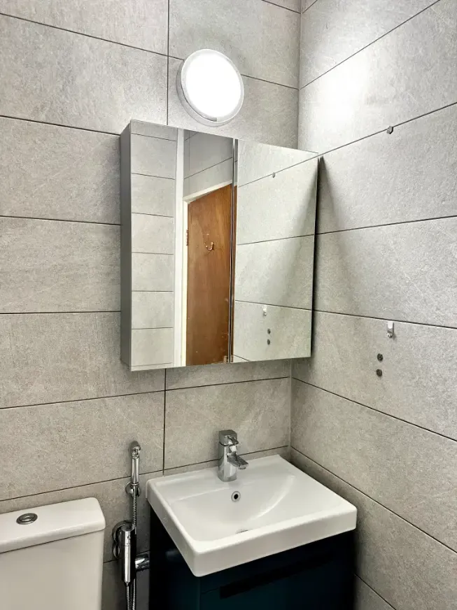 A bathroom with a sink , toilet and mirror.