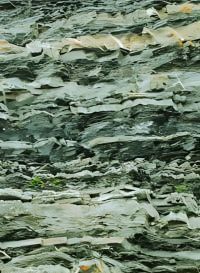 Concrete foundations on diverse Dunedin soils: Volcanic, sedimentary, & coastal.