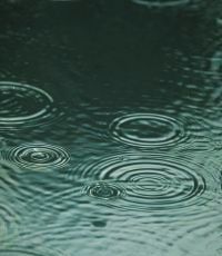 Rainwater is pooling on the concrete surface, illustrating the challenging weather conditions in Dunedin.