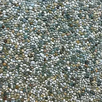 Beautiful Exposed Aggregate Concrete Path - Kenmure.