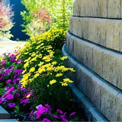 Concrete retaining wall acting as a soil retention barrier beside a walkway for a residential home in Forbury, Dunedin.