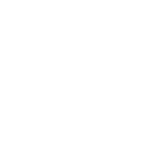 Cinch site Logo