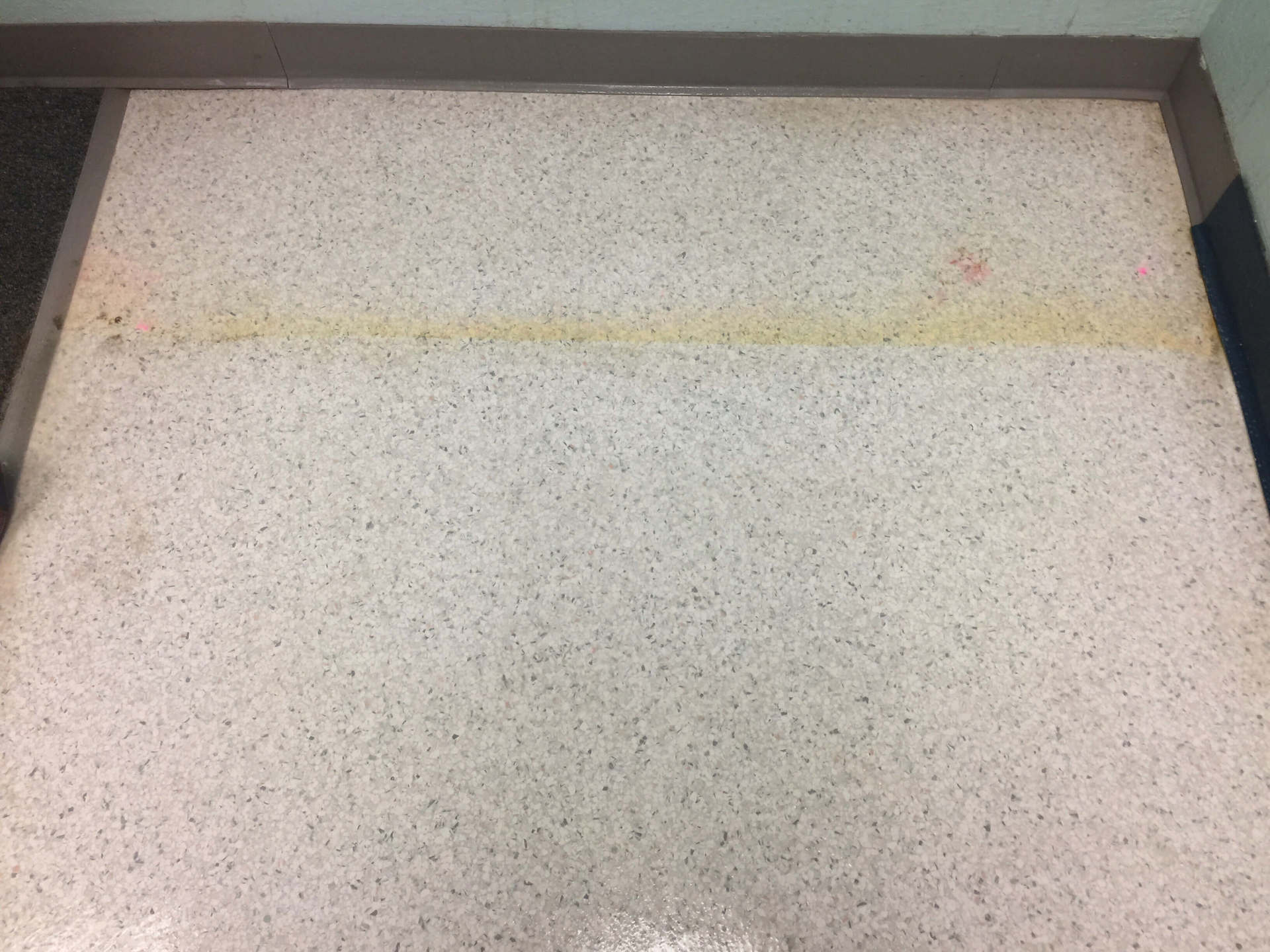 Commercial Grout Cleaning After