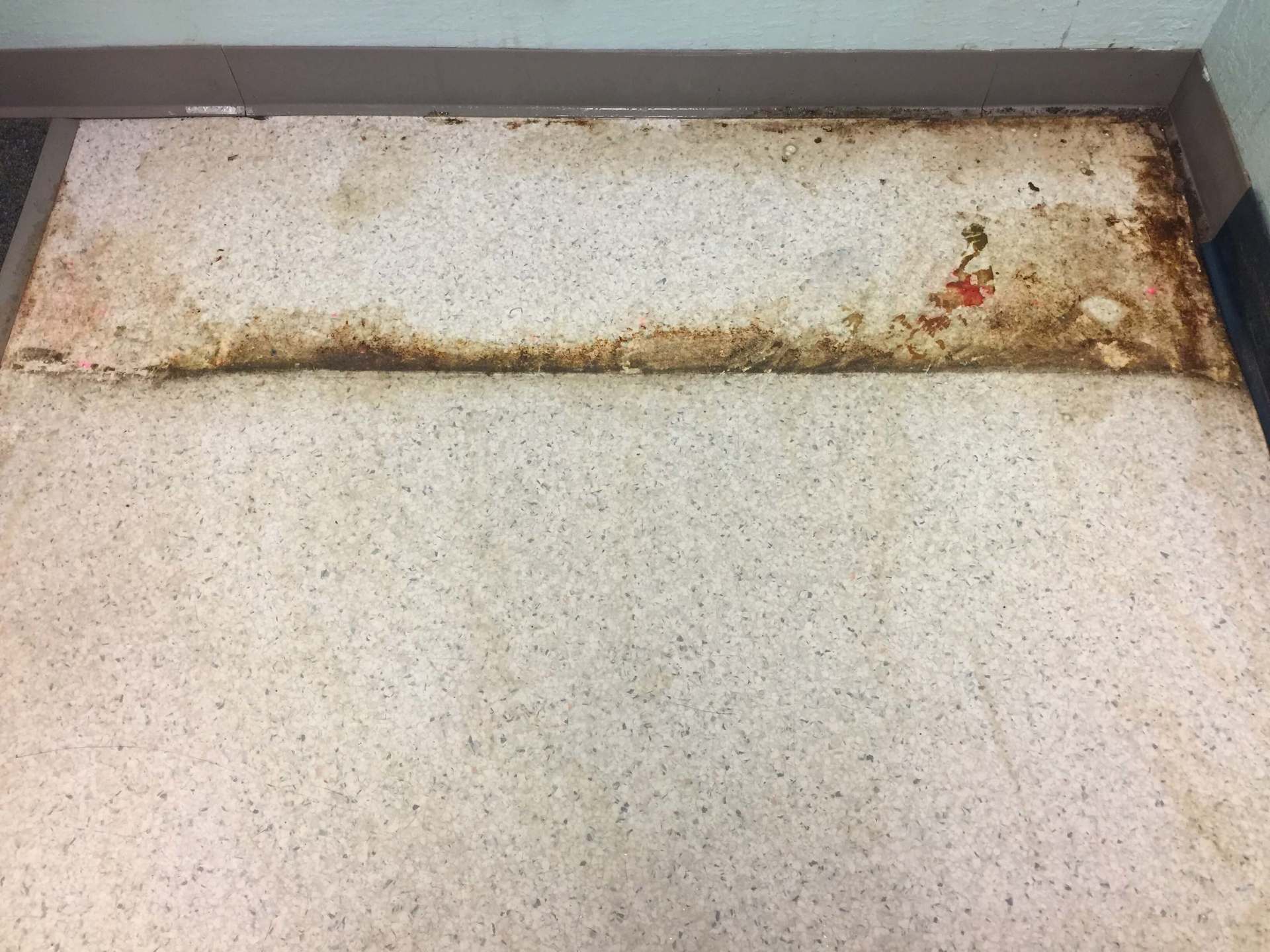 Commercial Grout Cleaning Before