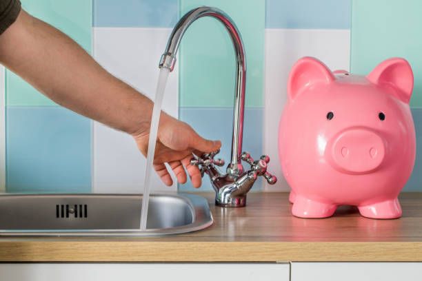 Piggy Bank On The Sink — McAllen, TX — Clear Choice H2O