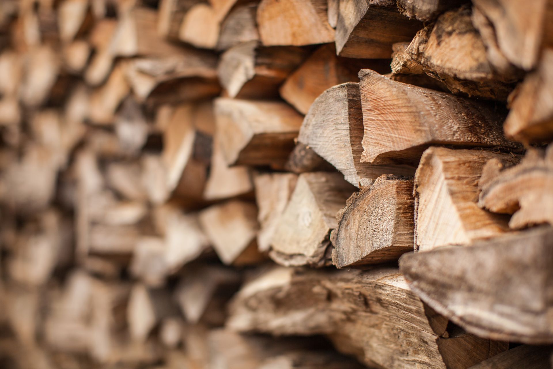 Pile of split firewood, stacked in rows, showing the cut ends and bark.