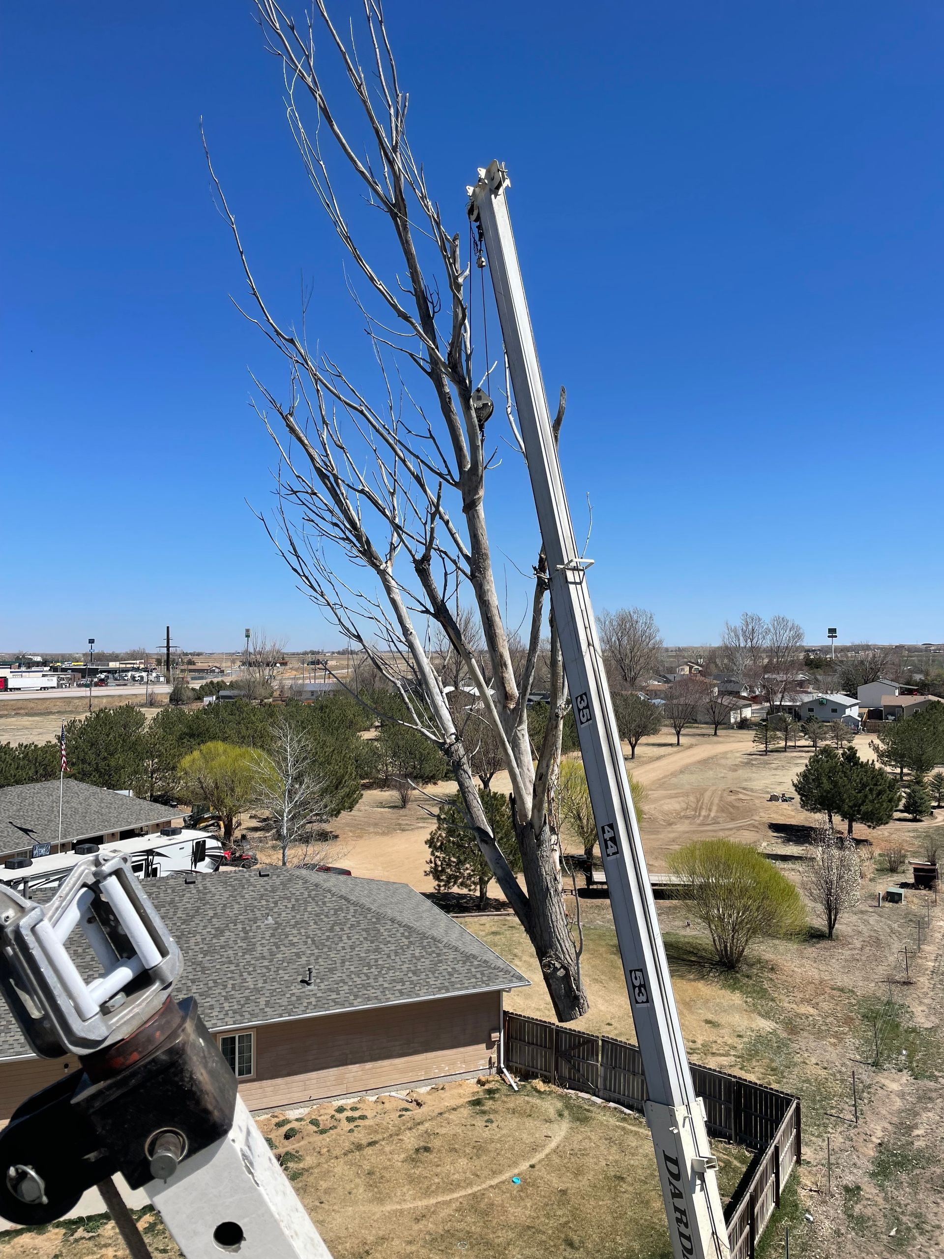 Red boom lift with worker trimming tree branches near building with chimneys.
