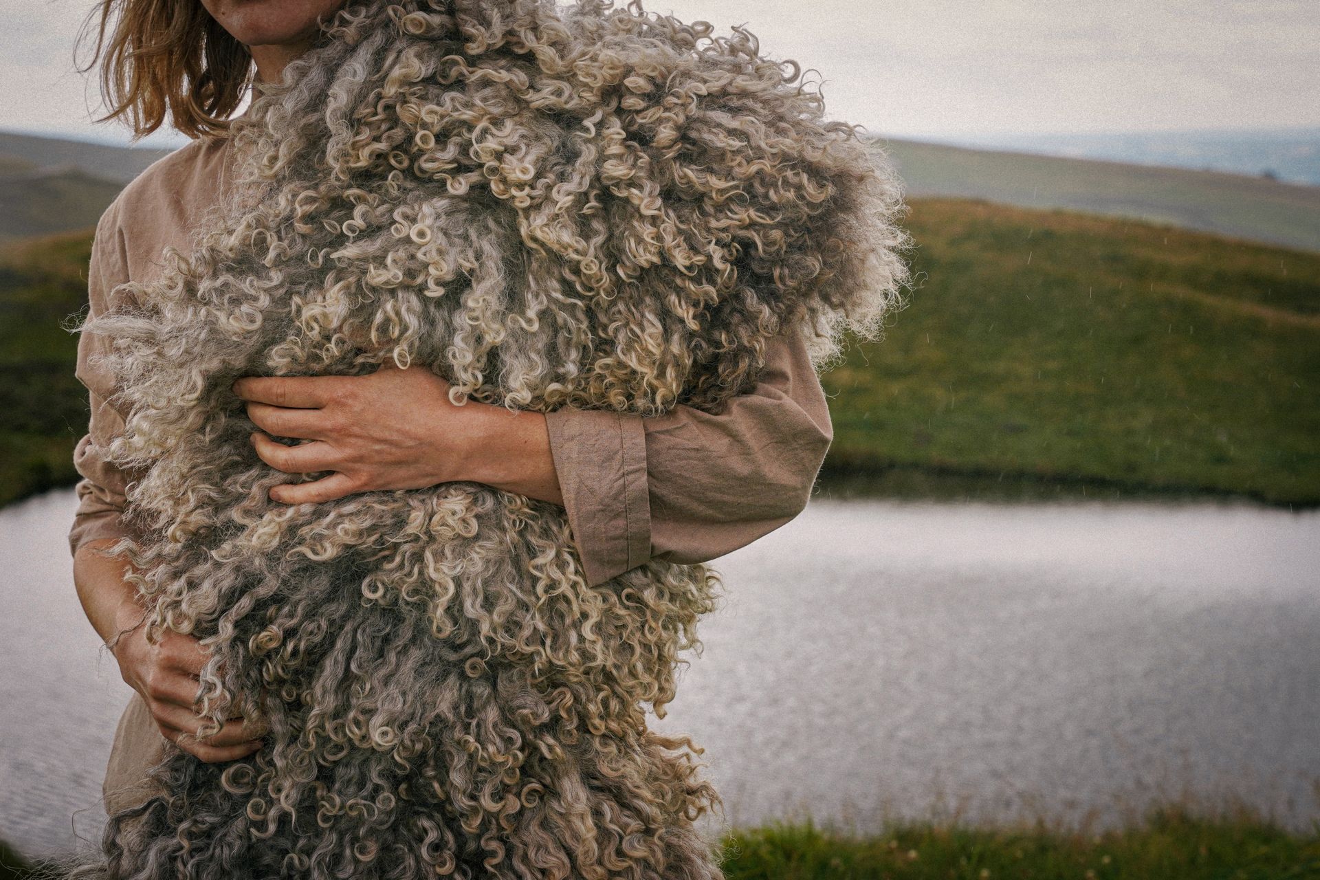 Piglet in Bed model wearing a wild wool felted fleece collar by Karolina Begier during the Felted Fleece Collective road trip, set in a country landscape.